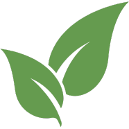 Green leaf icon symbolizing natural and eco-friendly products.